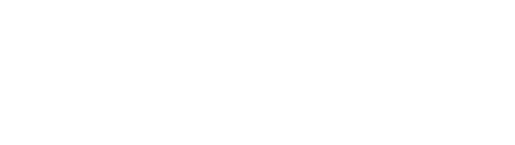 Cyber Cubs
